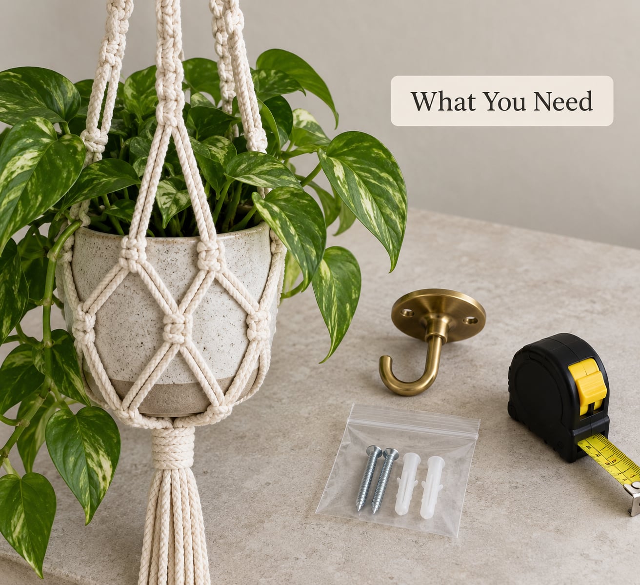 What You Need